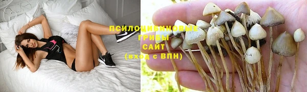 наркотики Алексин