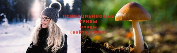 МДПВ Алзамай
